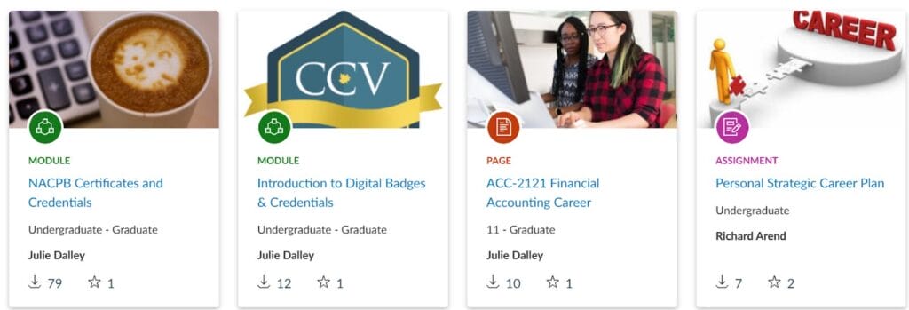 CCV Business Accounting Faculty - Teaching Resources